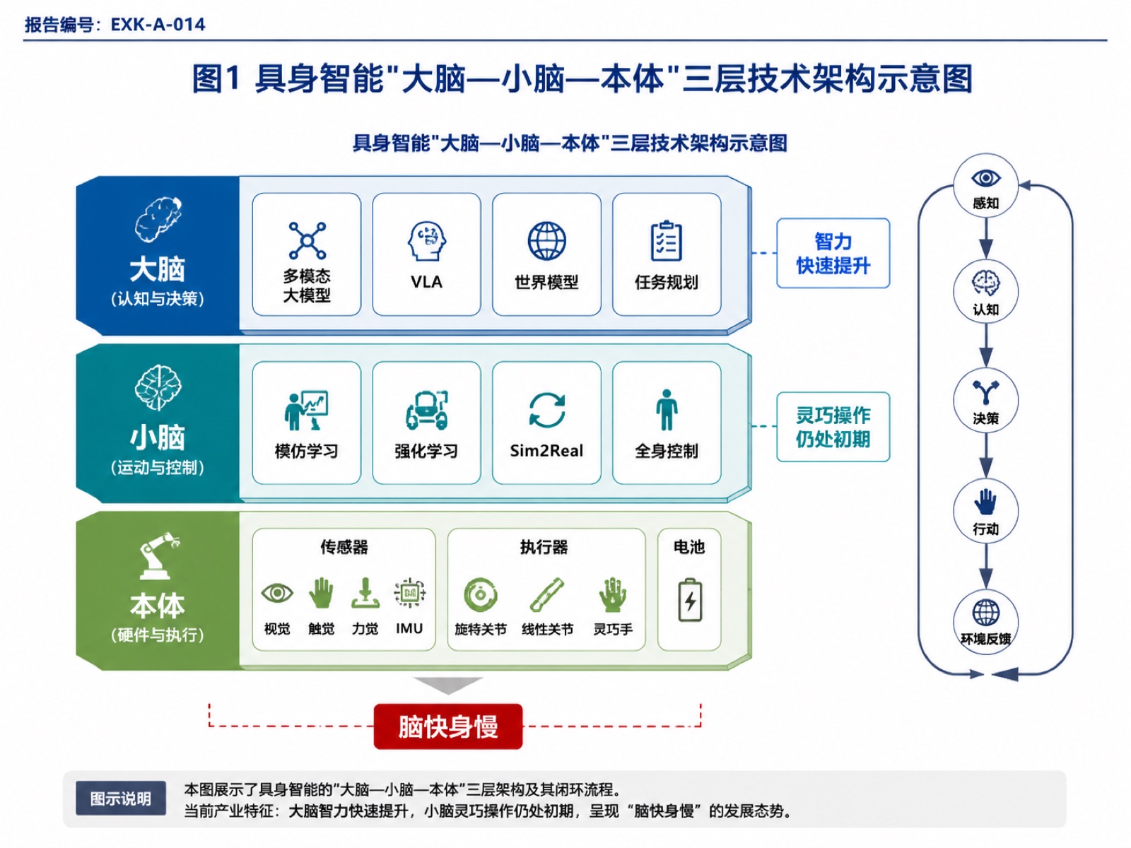图1 具身智能"大脑—小脑—本体"三层技术架构示意图
