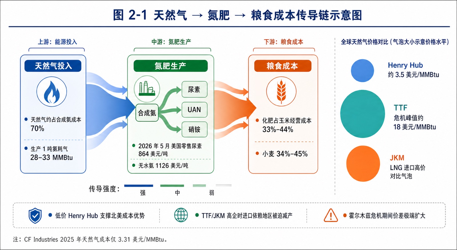 图 2-1 天然气 → 氮肥 → 粮食成本传导链示意图