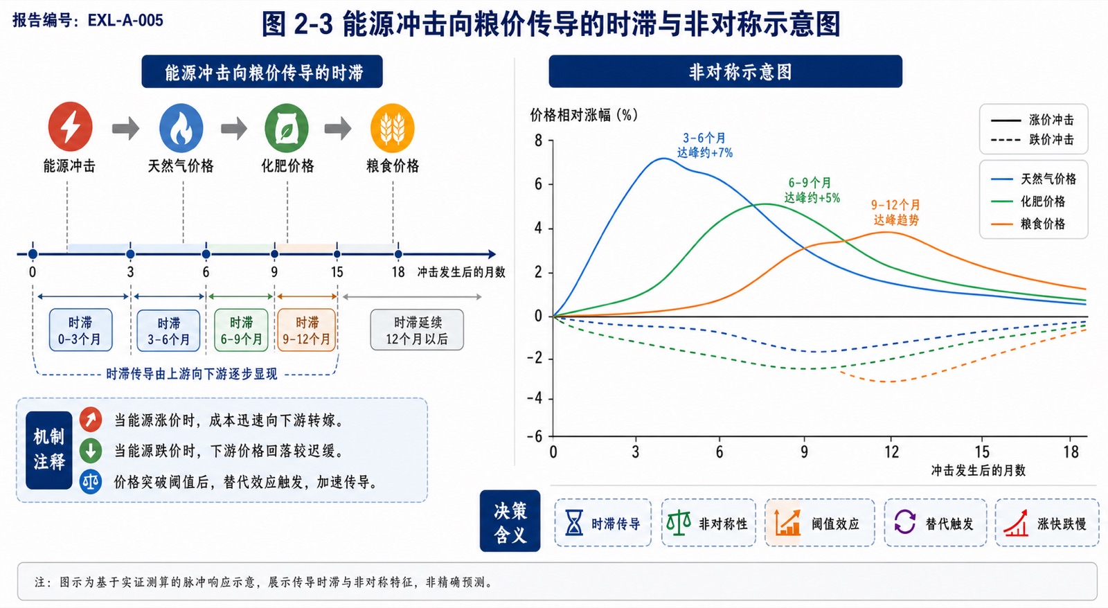 图 2-3 能源冲击向粮价传导的时滞与非对称示意图