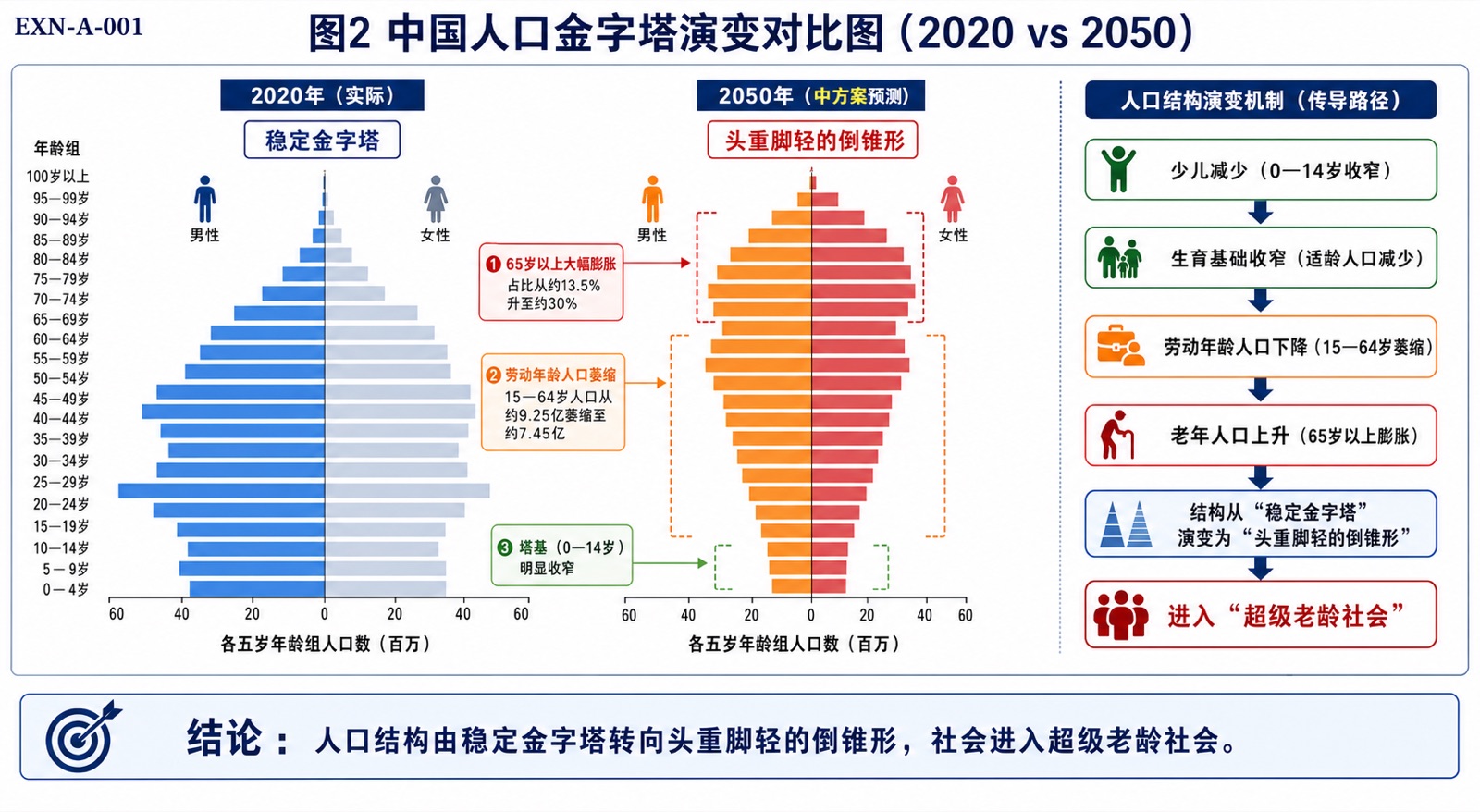 图2 中国人口金字塔演变对比图（2020 vs 2050）