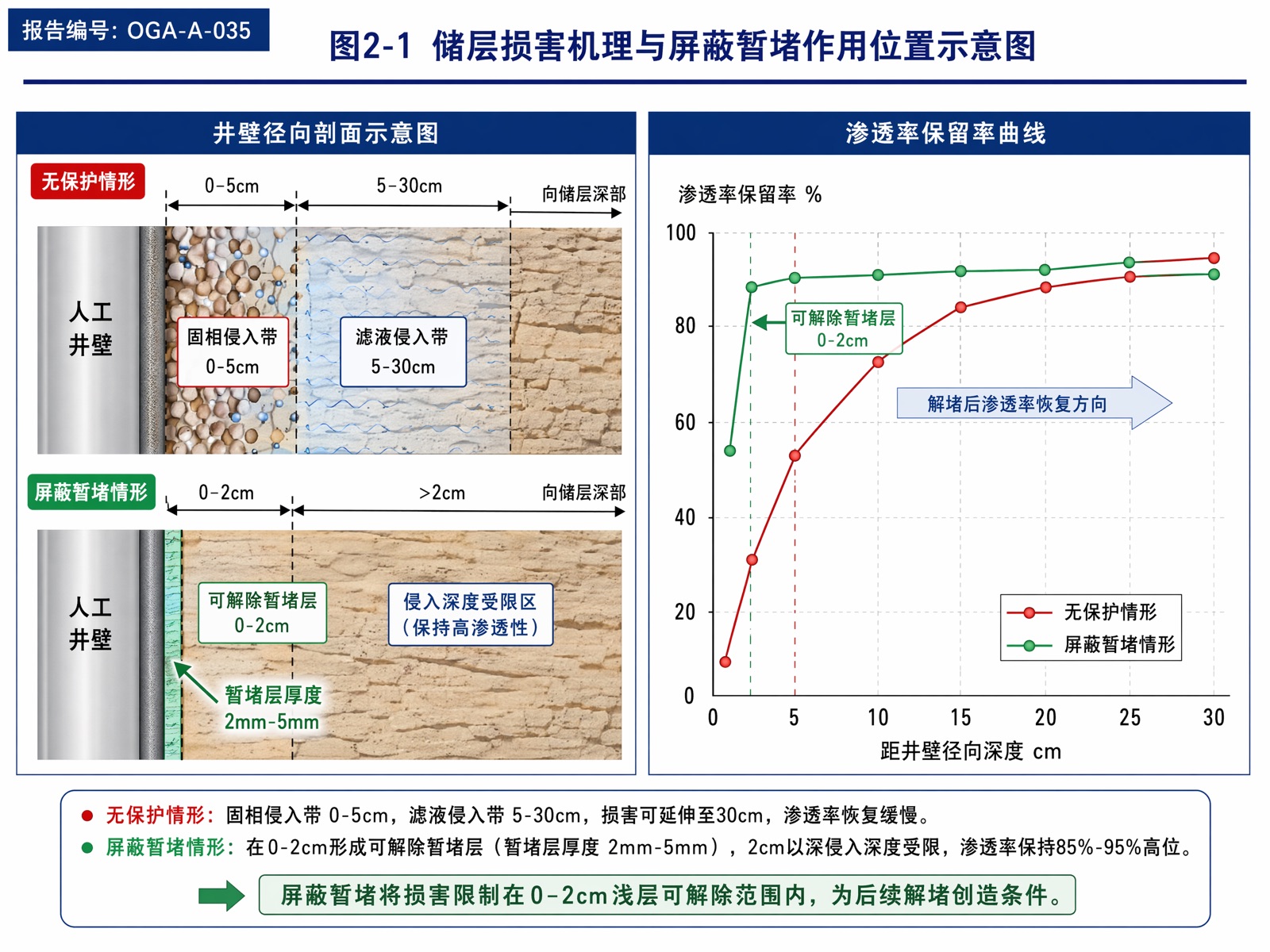 图2-1：储层损害机理与屏蔽暂堵作用位置示意图