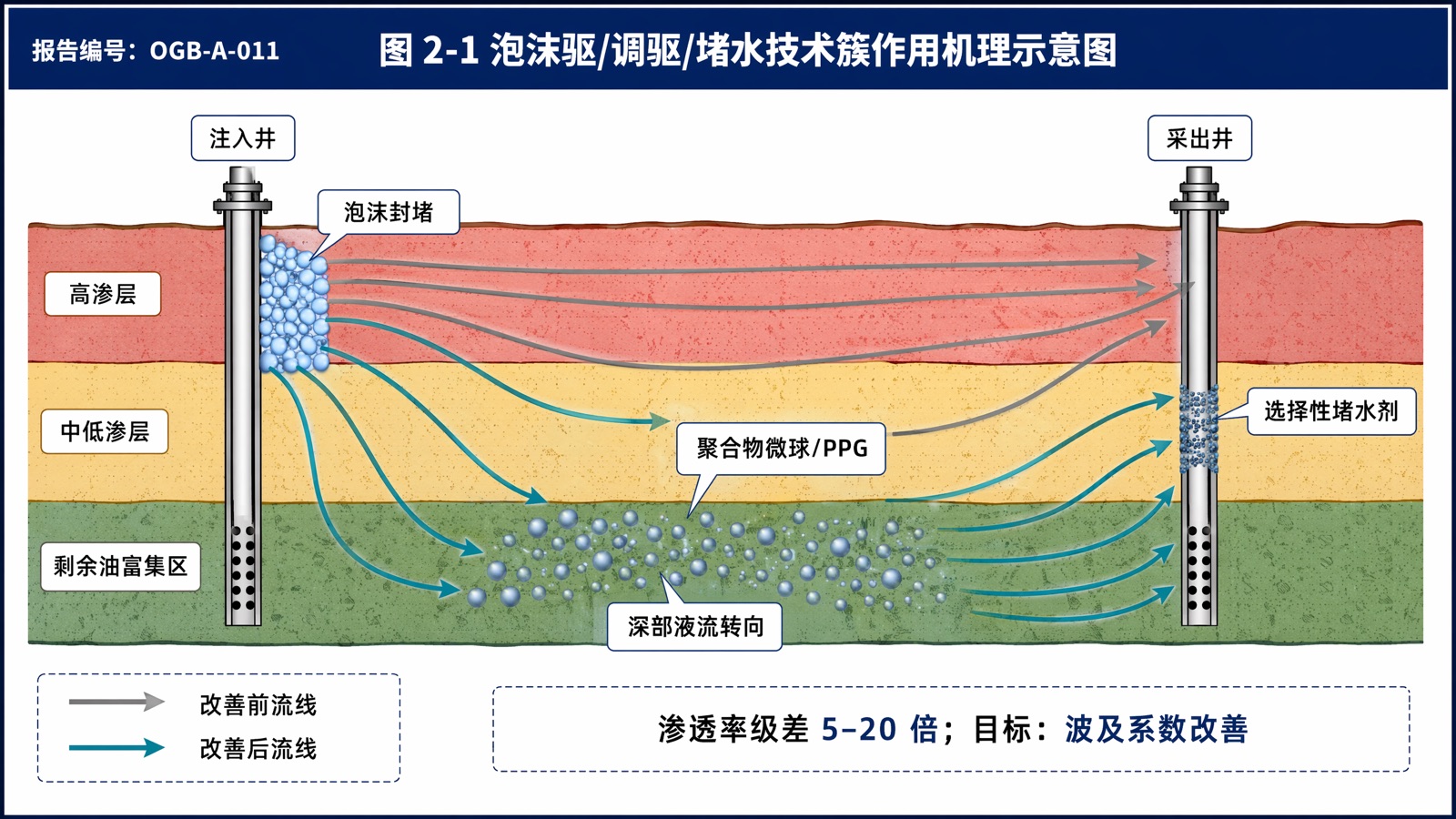 图 2-1 泡沫驱/调驱/堵水技术簇作用机理示意图