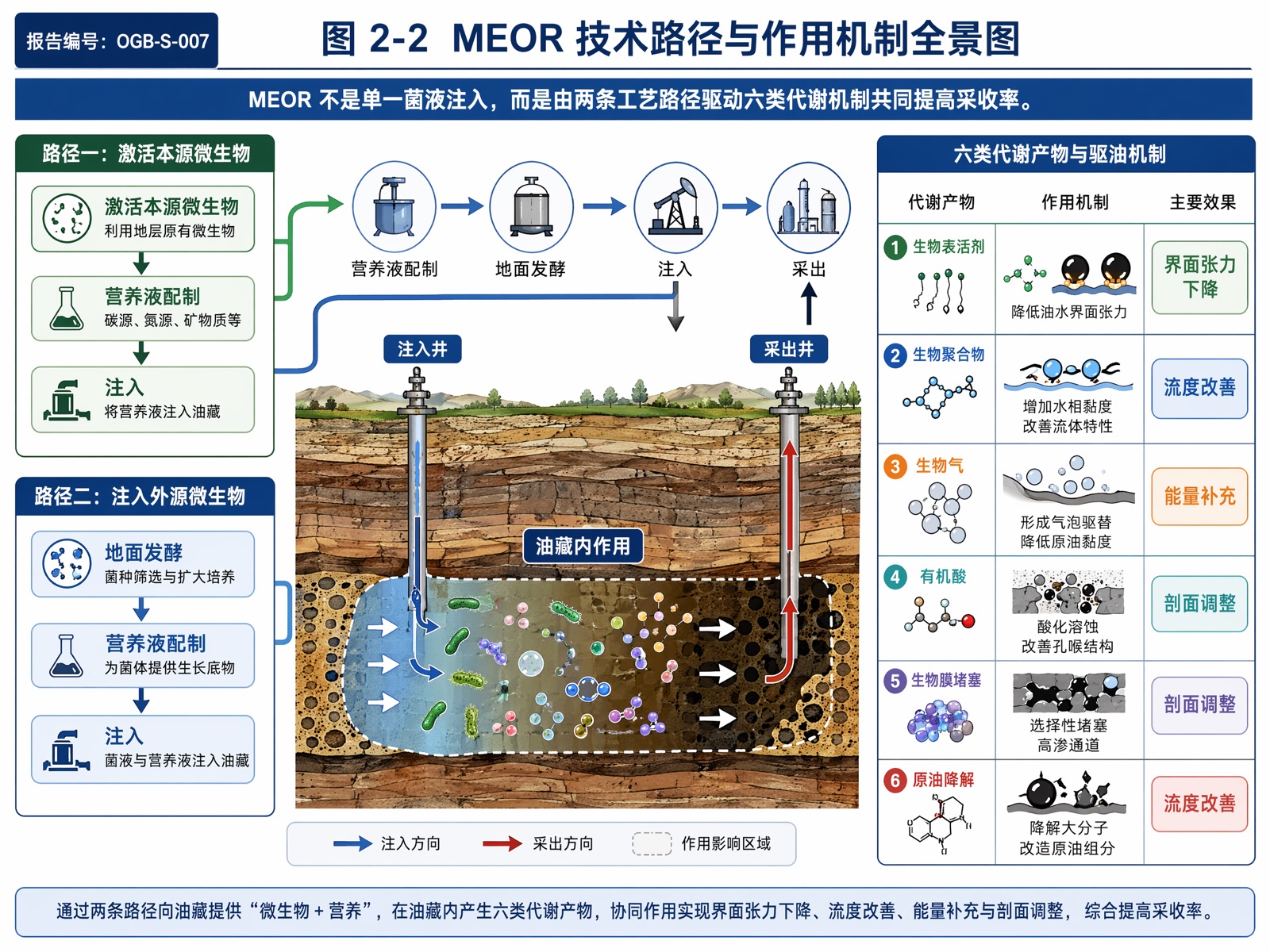 图 2-2 MEOR 技术路径与作用机制全景图