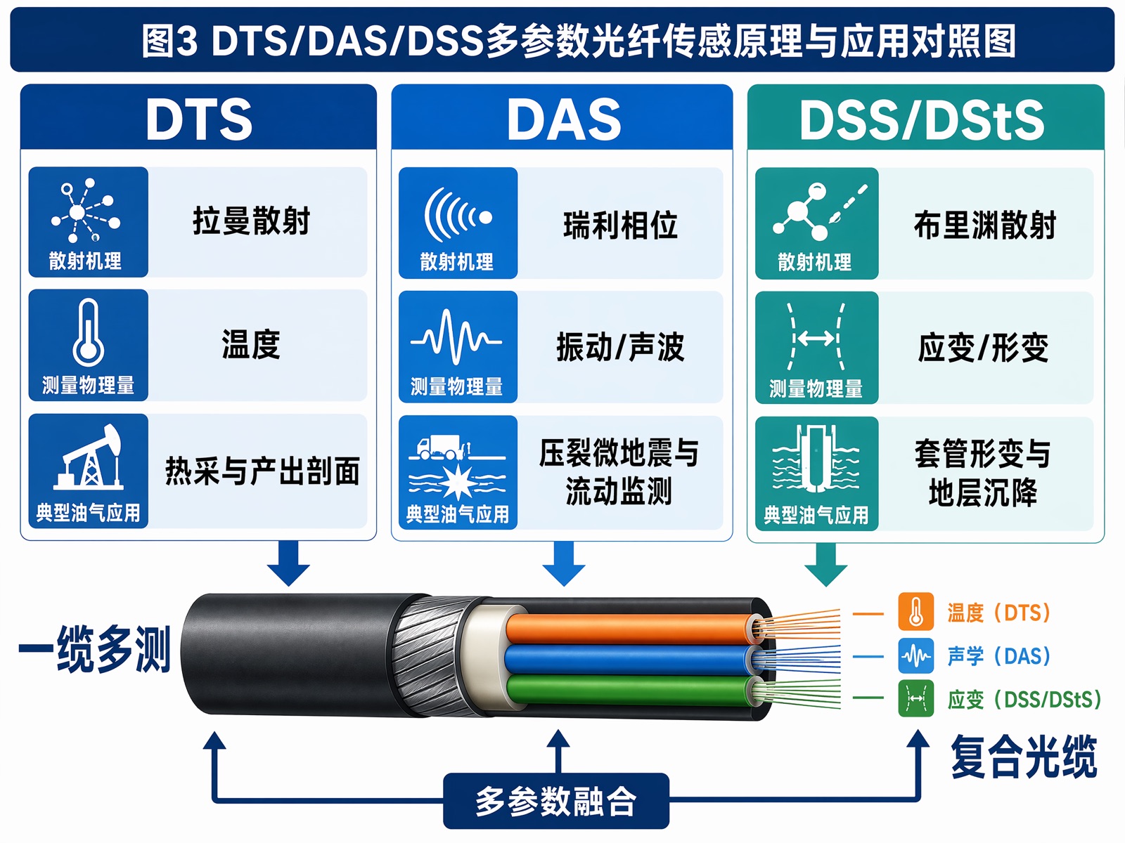 图3 DTS/DAS/DSS多参数光纤传感原理与应用对照图
