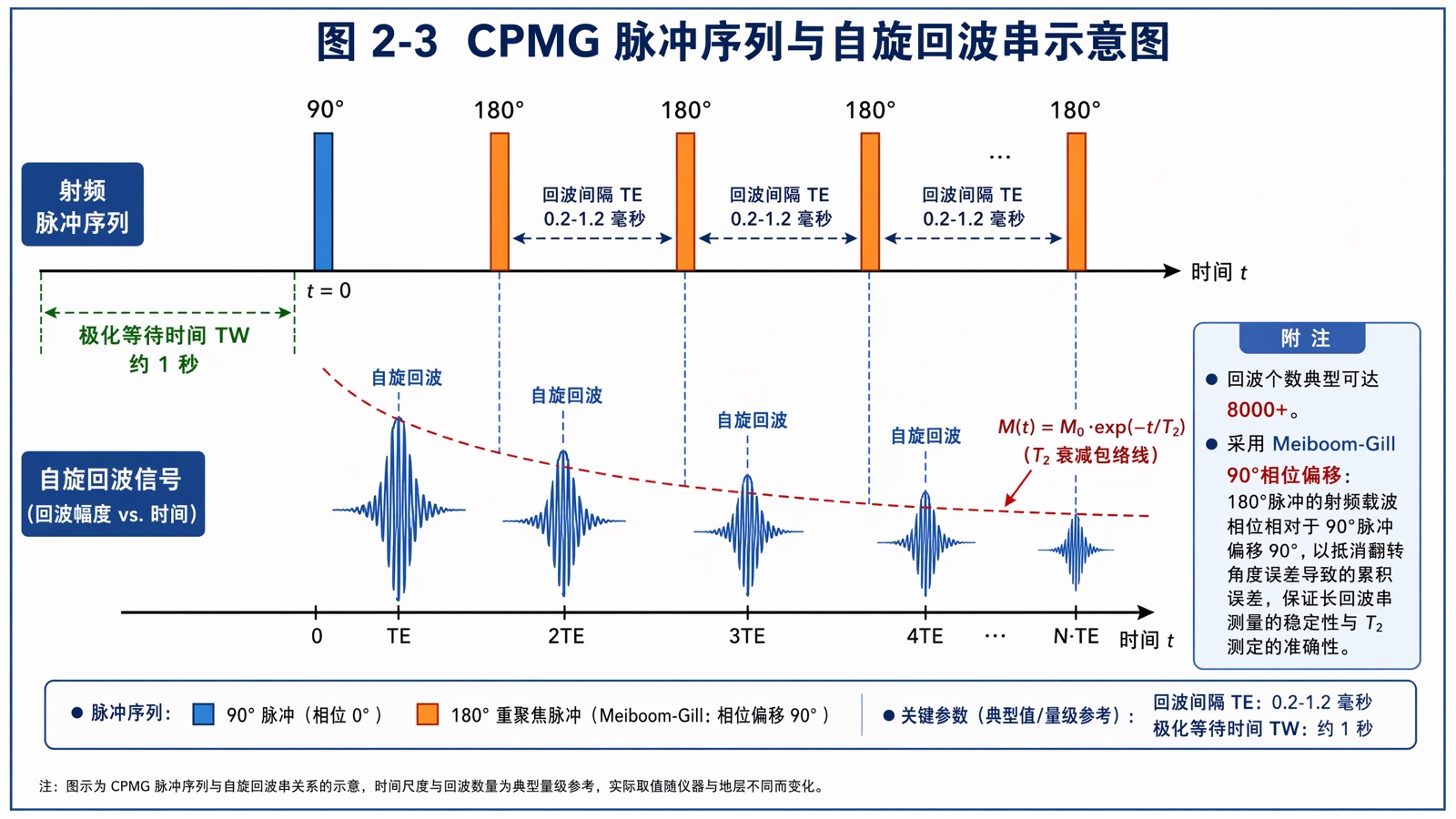图 2-3 CPMG 脉冲序列与自旋回波串示意图