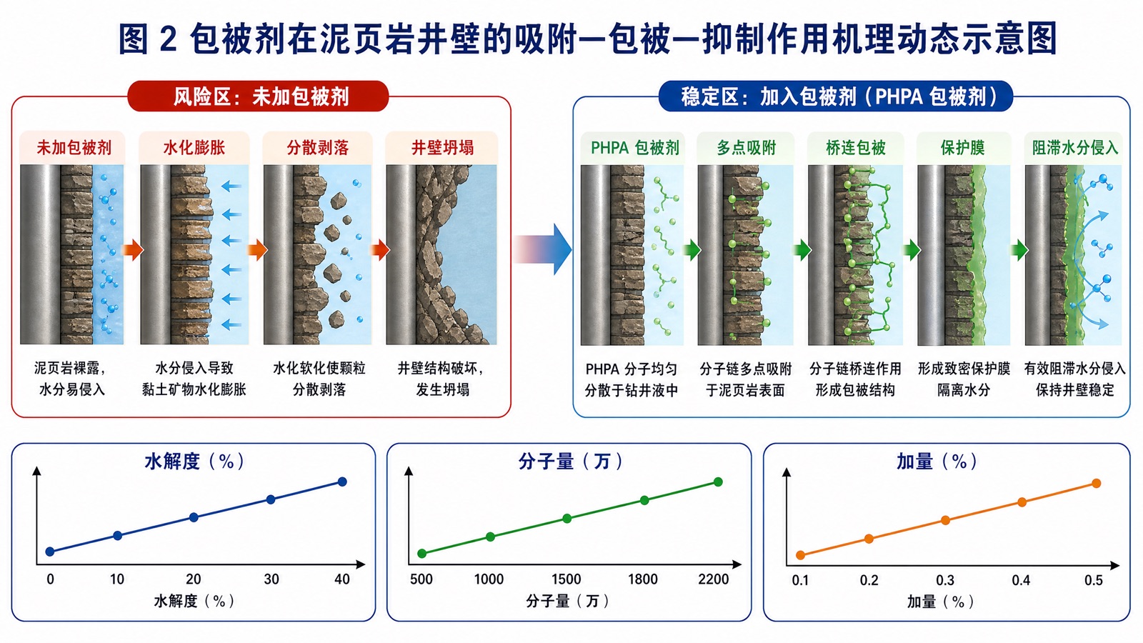 图 2 包被剂在泥页岩井壁的吸附—包被—抑制作用机理动态示意图