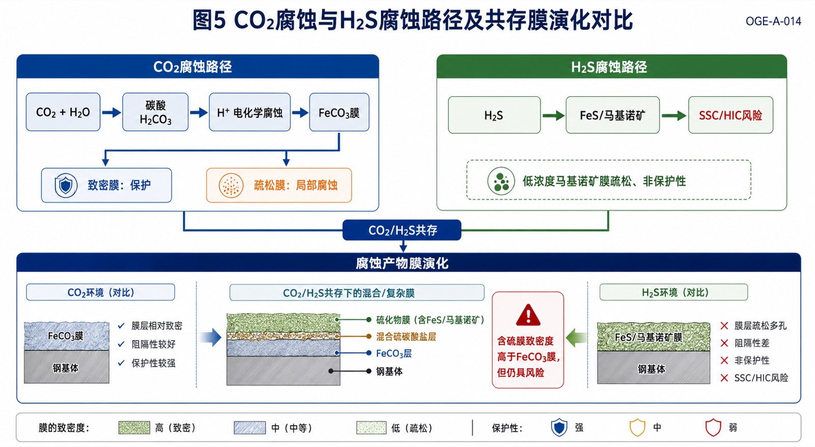 图5 CO₂腐蚀与H₂S腐蚀路径及共存膜演化对比