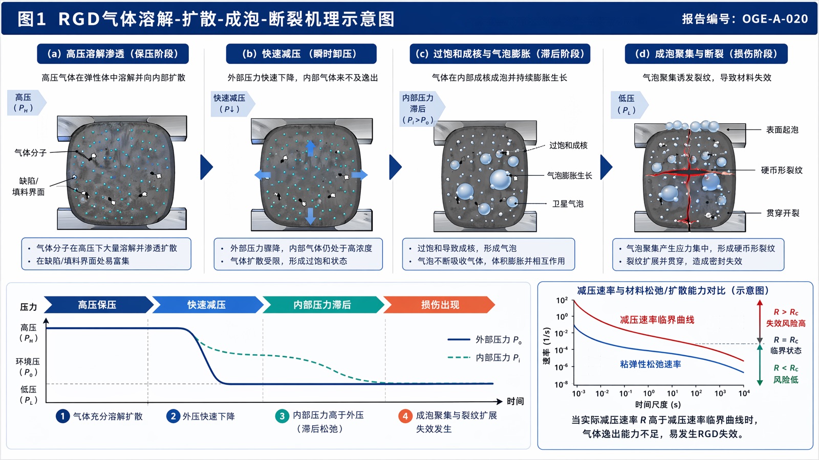 图1 RGD气体溶解-扩散-成泡-断裂机理示意图