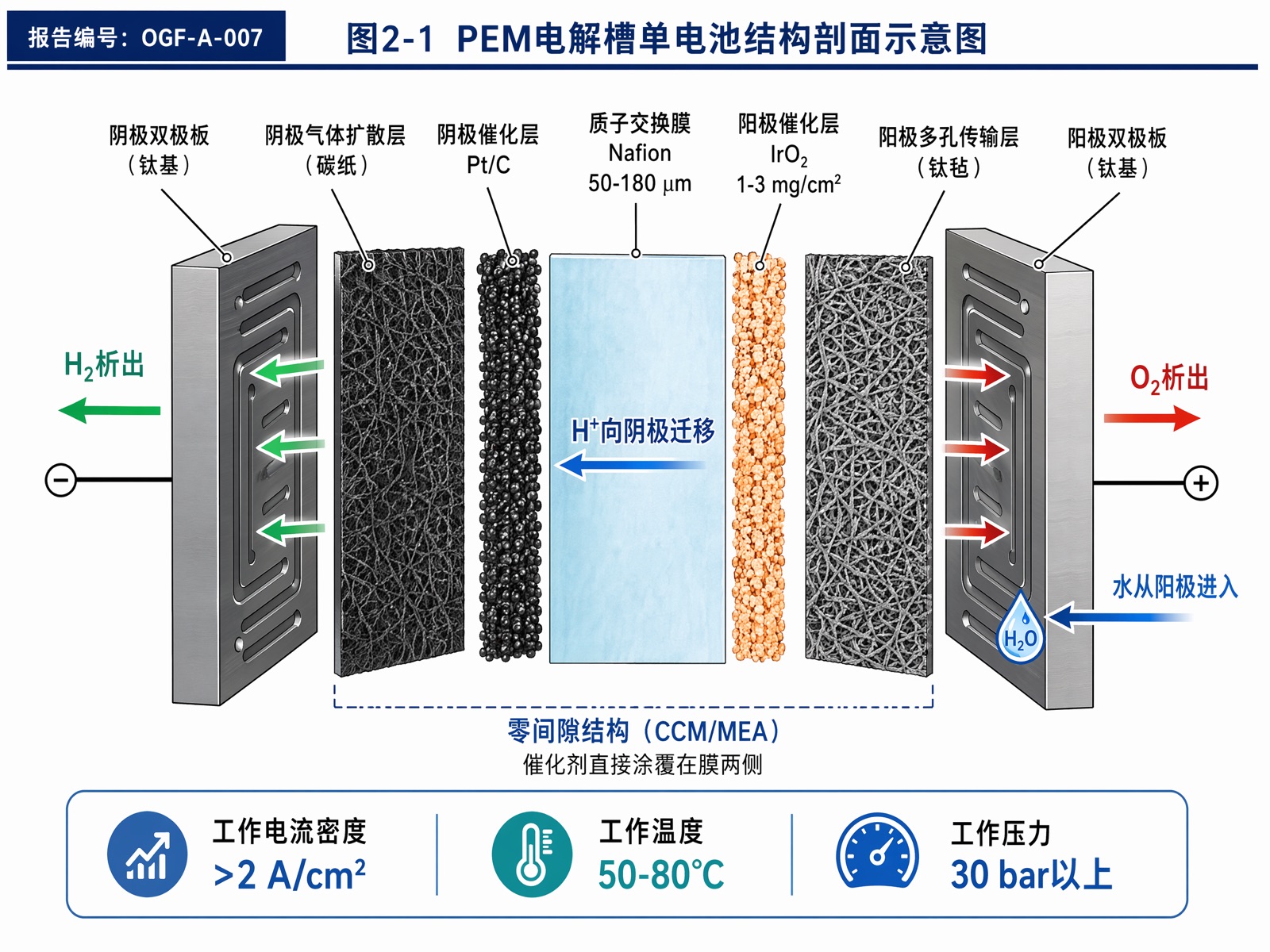 图2-1 PEM电解槽单电池结构剖面示意图