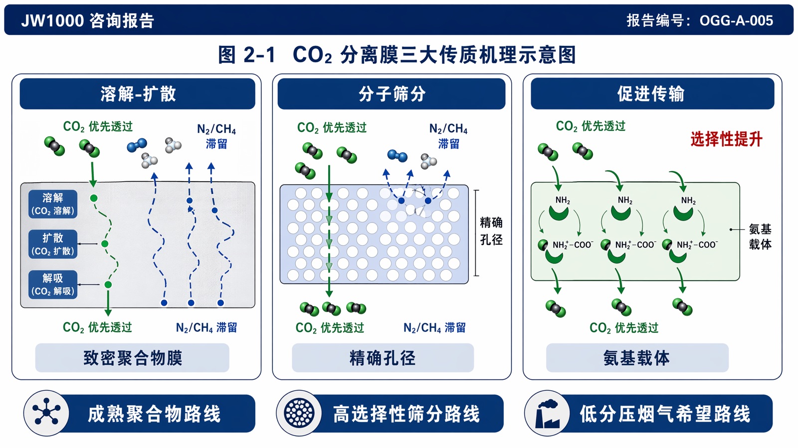 图 2-1:CO2 分离膜三大传质机理示意图