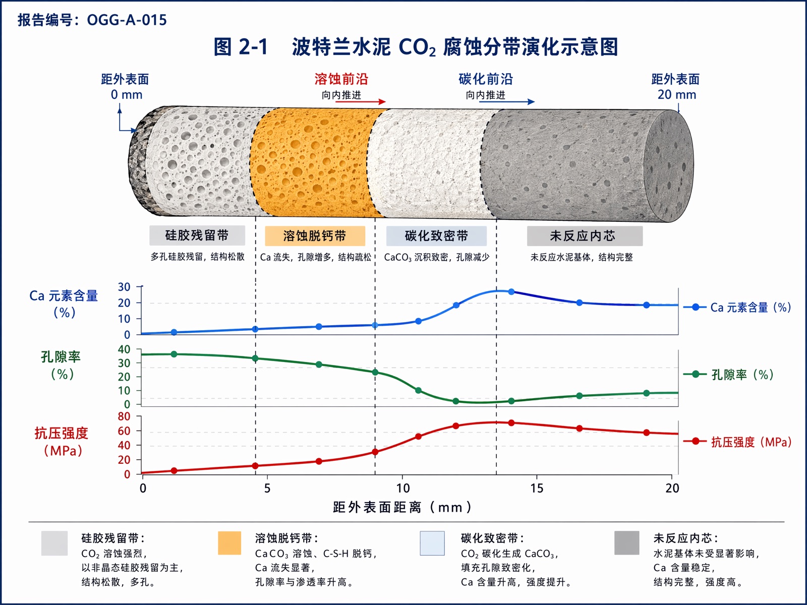 图 2-1 波特兰水泥 CO₂ 腐蚀分带演化示意图